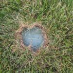 Cap of trench